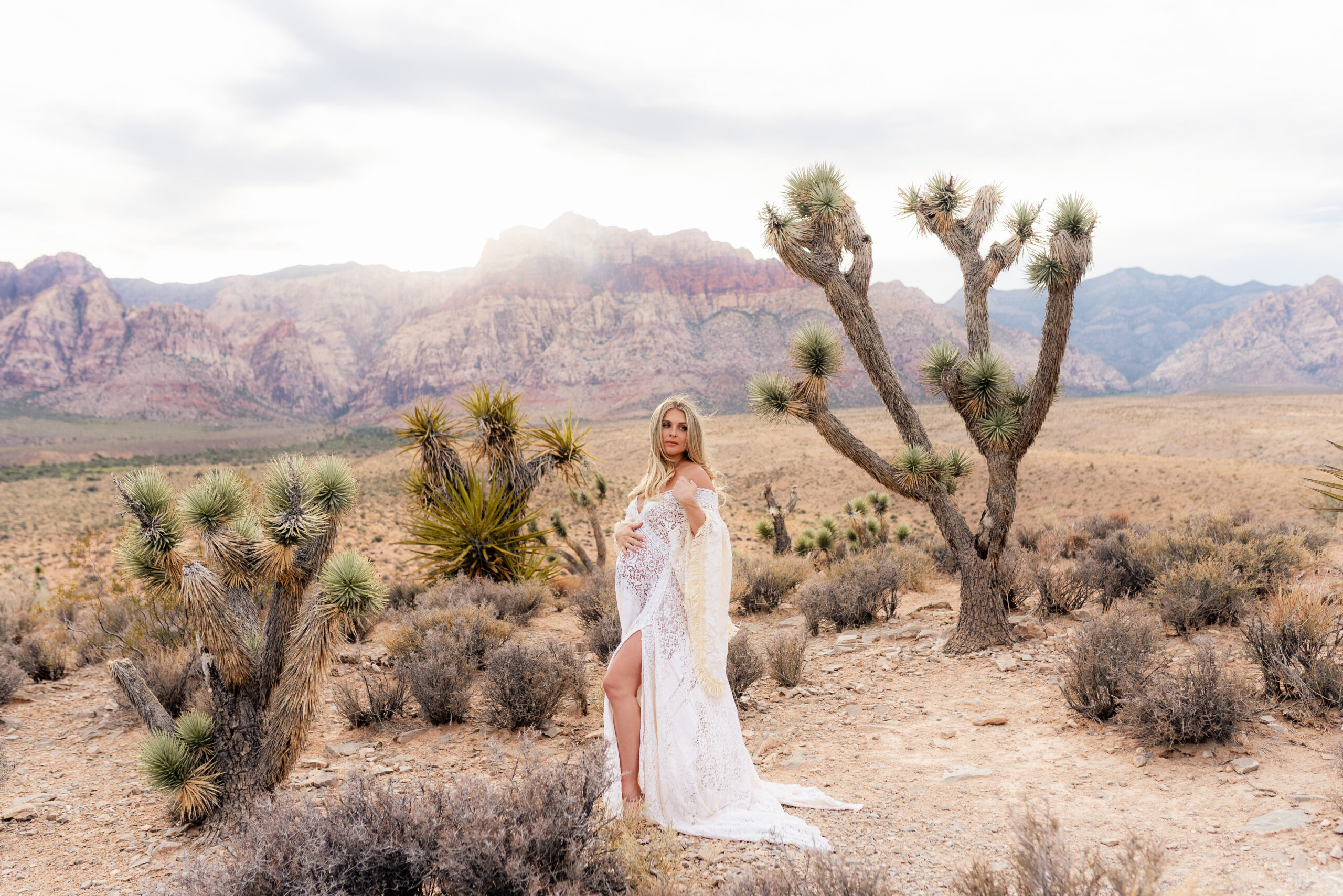 Maternity portrait in white lace dress with sunset light and Joshua trees at Red Rock Canyon